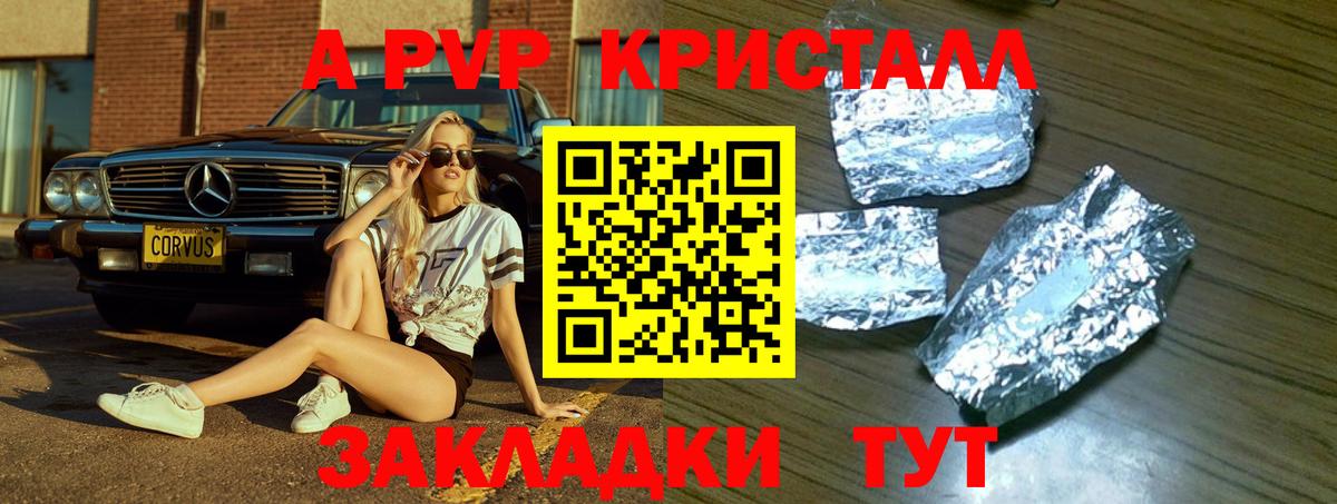 Альфа ПВП СК КРИС Грозный