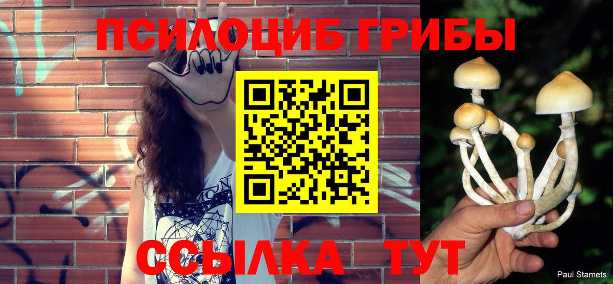 Грозный  наркота  Вход с VPN  Галлюциногенные грибы мицелий 